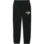 Rock Valley Golden Eagles <span class="pdp-name-mascot">Rock Valley Golden Eagles</span> District Youth V.I.T. Fleece Sweatpant Front Thumbnail