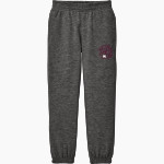 Mash Athletics <span class="pdp-name-mascot">Minnesota Mash Baseball Club</span> District Youth V.I.T. Fleece Sweatpant Front Thumbnail