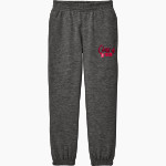 Wittenberg University Tigers <span class="pdp-name-mascot">Wittenberg University Tigers</span> District Youth V.I.T. Fleece Sweatpant Front Thumbnail