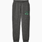 Babcock Trailblazers <span class="pdp-name-mascot">Babcock High School Trailblazers</span> District Youth V.I.T. Fleece Sweatpant Front Thumbnail