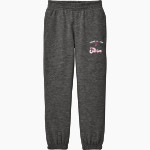 Sioux Falls Storm Storm <span class="pdp-name-mascot">Sioux Falls Storm</span> District Youth V.I.T. Fleece Sweatpant Front Thumbnail