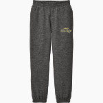 Clarion Golden Eagles <span class="pdp-name-mascot">Clarion - Penn West University Golden Eagles</span> District Youth V.I.T. Fleece Sweatpant Front Thumbnail