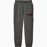 Dunedin Falcons District Youth V.I.T. Fleece Sweatpant Front Thumbnail