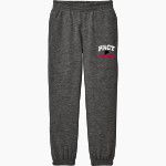 PACT Charter School Official Online Store <span class="pdp-name-mascot">Pact Charter Panthers</span> District Youth V.I.T. Fleece Sweatpant Front Thumbnail