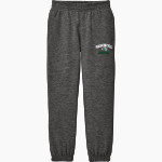 Waxahachie High School Indians <span class="pdp-name-mascot">Waxahachie Indians</span> District Youth V.I.T. Fleece Sweatpant Front Thumbnail