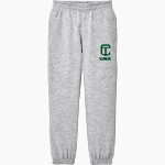 CASS TECHNICAL HIGH SCHOOL TECHNICIANS <span class="pdp-name-mascot">CASS TECHNICIANS</span> District Youth V.I.T. Fleece Sweatpant Front Thumbnail