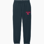 JUNIATA HIGH SCHOOL INDIANS <span class="pdp-name-mascot">JUNIATA INDIANS</span> District Youth V.I.T. Fleece Sweatpant Front Thumbnail