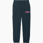Bluefield University Sideline Store <span class="pdp-name-mascot">Bluefield University</span> District Youth V.I.T. Fleece Sweatpant Front Thumbnail