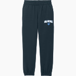 Blaine Bengals <span class="pdp-name-mascot">Blaine Bengals</span> District Youth V.I.T. Fleece Sweatpant Front Thumbnail