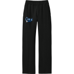 Marie Philip School Galloping Ghosts <span class="pdp-name-mascot">Marie Philip School Galloping Ghosts</span> District Men's V.I.T. Fleece Open-Bottom Sweatpant Front Thumbnail