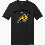 RIVERDALE HIGH SCHOOL RAMS <span class="pdp-name-mascot">RIVERDALE RAMS</span> District Men's Very Important V-Neck Short Sleeve Tee Front Thumbnail