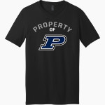 PASQUOTANK COUNTY HIGH SCHOOL PANTHERS <span class="pdp-name-mascot">PASQUOTANK COUNTY PANTHERS</span> District Men's Very Important V-Neck Short Sleeve Tee Front Thumbnail