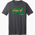 Community College of Rhode Island Knights <span class="pdp-name-mascot">COMMUNITY COLLEGE OF RHODE ISLAND Knights</span> District Men's Very Important V-Neck Short Sleeve Tee Front Thumbnail
