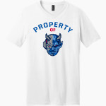 PAHOKEE HIGH SCHOOL BLUE DEVILS District Men's Very Important V-Neck Short Sleeve Tee Front Thumbnail
