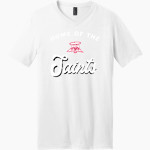 SAINT ANSGAR HIGH SCHOOL SAINTS <span class="pdp-name-mascot">SAINT ANSGAR SAINTS</span> District Men's Very Important V-Neck Short Sleeve Tee Front Thumbnail