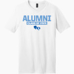 NOTRE DAME HIGH SCHOOL IRISH <span class="pdp-name-mascot">NOTRE DAME IRISH</span> District Men's Very Important V-Neck Short Sleeve Tee Front Thumbnail