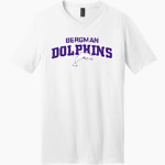 Bergman Dolphins <span class="pdp-name-mascot">Frank V. Bergman Elementary Dolphins</span> District Men's Very Important V-Neck Short Sleeve Tee Front Thumbnail