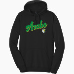 COACHELLA VALLEY HIGH SCHOOL ARABS <span class="pdp-name-mascot">COACHELLA VALLEY ARABS</span> District Men's The Concert Fleece Hoodie Front Thumbnail