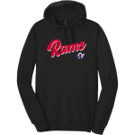 Bluefield University Sideline Store <span class="pdp-name-mascot">Bluefield University</span> District Men's The Concert Fleece Hoodie Front Thumbnail