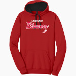 LINDHURST HIGH SCHOOL BLAZERS <span class="pdp-name-mascot">LINDHURST BLAZERS</span> District Men's The Concert Fleece Hoodie Front Thumbnail