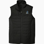 AGOURA HIGH SCHOOL CHARGERS Port Authority Men's Collective Insulated Vest Front Thumbnail