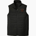 LOS GATOS HIGH SCHOOL WILDCATS <span class="pdp-name-mascot">LOS GATOS WILDCATS</span> Port Authority Men's Collective Insulated Vest Front Thumbnail