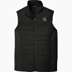 Jane Addams Business Career Center Executives <span class="pdp-name-mascot">Jane Addams Business Career Center Executives</span> Port Authority Men's Collective Insulated Vest Front Thumbnail