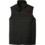 Godwin Eagles <span class="pdp-name-mascot">Godwin Eagles</span> Port Authority Men's Collective Insulated Vest Front Thumbnail