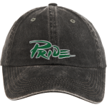 Leesville Road Pride <span class="pdp-name-mascot">Leesville Road Pride</span> Port Authority Women's Garment Washed Hat Front Thumbnail