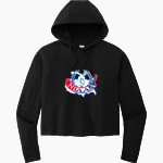 NIAAA - Sport-Tek Women's PosiCharge Tri-Blend Fleece Midi Hoodie Front Thumbnail