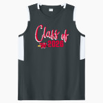 Wisconsin School For The Deaf Firebirds <span class="pdp-name-mascot">Wisconsin School For The Deaf Firebirds</span> Sport-Tek Women's Club Sleeveless V-Neck Front Thumbnail