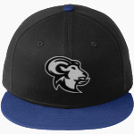 Watkinson Rams <span class="pdp-name-mascot">Watkinson Rams</span> New Era Flat Bill Snapback Cap Front Thumbnail