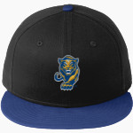 Greenfield Central Cougars Online Store <span class="pdp-name-mascot">Greenfield-Central Cougars</span> New Era Flat Bill Snapback Cap Front Thumbnail