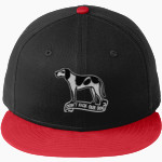 AURORA HIGH SCHOOL HOUN DAWGS <span class="pdp-name-mascot">AURORA HOUN DAWGS</span> New Era Flat Bill Snapback Cap Front Thumbnail