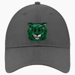 Salem University Tigers <span class="pdp-name-mascot">TIGERS</span> New Era Perforated Performance Cap Front Thumbnail