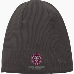 FAITH CHRISTIAN ACADEMY LIONS <span class="pdp-name-mascot">FAITH LIONS</span> New Era Knit Beanie Front Thumbnail