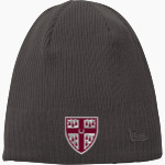 St. Anselm's Abbey Panthers <span class="pdp-name-mascot">Saint Anselm's Abbey Panthers</span> New Era Knit Beanie Front Thumbnail