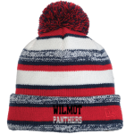 WILMOT UNION HIGH SCHOOL PANTHERS <span class="pdp-name-mascot">WILMOT PANTHERS</span> New Era Sideline Beanie Front Thumbnail