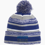 WORCESTER TECHNICAL HIGH SCHOOL EAGLES <span class="pdp-name-mascot">WORCESTER EAGLES</span> New Era Sideline Beanie Front Thumbnail