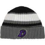 DARLINGTON HIGH SCHOOL FALCONS New Era Ribbed Tailgate Beanie Front Thumbnail