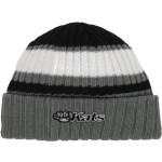 Erie Kats <span class="pdp-name-mascot">ERIE COMMUNITY COLLEGE Kats</span> New Era Ribbed Tailgate Beanie Front Thumbnail