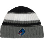 Mountainburg Dragons <span class="pdp-name-mascot">Mountainburg Dragons</span> New Era Ribbed Tailgate Beanie Front Thumbnail
