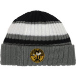 Enfield High School Eagles <span class="pdp-name-mascot">Enfield High Eagles</span> New Era Ribbed Tailgate Beanie Front Thumbnail
