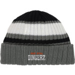 Dingerz Softball Dingerz <span class="pdp-name-mascot">Dingerz Softball Dingerz</span> New Era Ribbed Tailgate Beanie Front Thumbnail