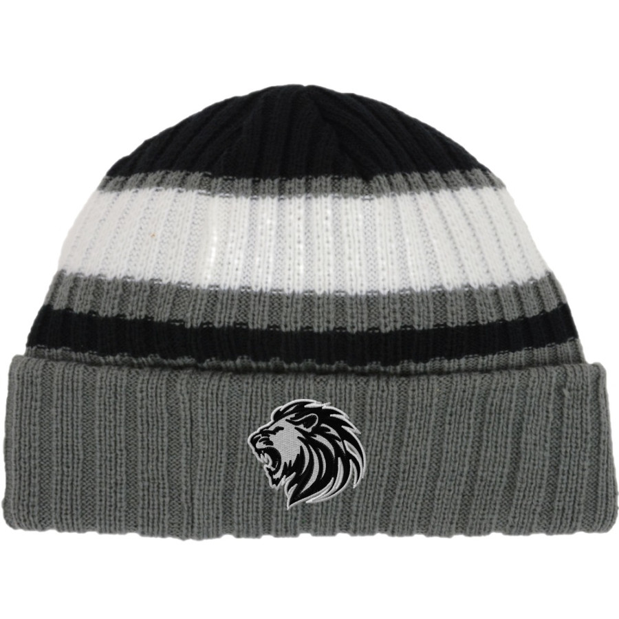 FAITH CHRISTIAN ACADEMY LIONS <span class="pdp-name-mascot">FAITH LIONS</span> New Era Ribbed Tailgate Beanie