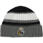 Local Legends Local Legends <span class="pdp-name-mascot">Local Legends</span> New Era Ribbed Tailgate Beanie Front Thumbnail