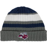 Avon Old Farms Winged Beavers <span class="pdp-name-mascot">Avon Old Farms School Winged Beavers</span> New Era Ribbed Tailgate Beanie Front Thumbnail