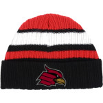 Wheeling University Cardinals Online Store <span class="pdp-name-mascot">Wheeling University Cardinals</span> New Era Ribbed Tailgate Beanie Front Thumbnail