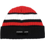 JOHANNESBURG-LEWISTON HIGH SCH CARDINALS <span class="pdp-name-mascot">JOHANNESBURG - LEWISTON CARDINALS</span> New Era Ribbed Tailgate Beanie Front Thumbnail