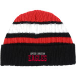 Jupiter Christian Eagles <span class="pdp-name-mascot">Jupiter Eagles</span> New Era Ribbed Tailgate Beanie Front Thumbnail